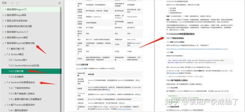 微服務(wù)的困境與突破 從圖片流式返回到高效實(shí)施路徑