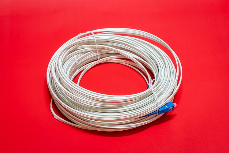 網絡電纜與光纖電纜 連接世界的光與電